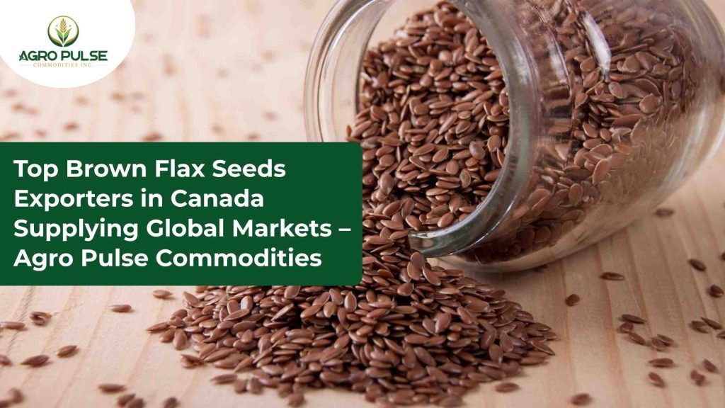 Top Brown Flax Seeds Exporters in Canada Supplying Global Markets